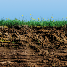 soil and grass