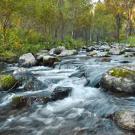 fast flowing river